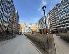 Студия 24.2 м² 2/12 этаж