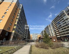 Студия 24.2 м² 2/12 этаж