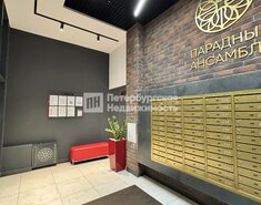 Студия 24.55 м² 2/5 этаж