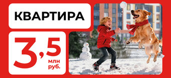 Квартиры в окружении живописного Светлогорского леса – от 3,5 миллиона рублей